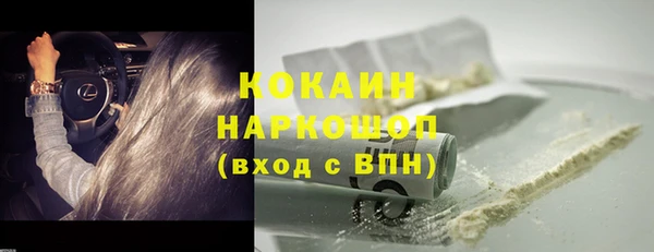 стаф Балахна