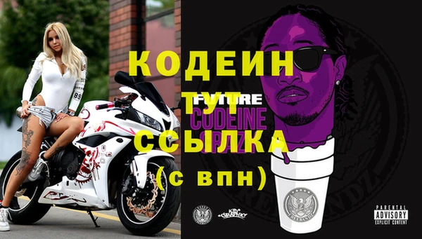 прущий лед Аркадак