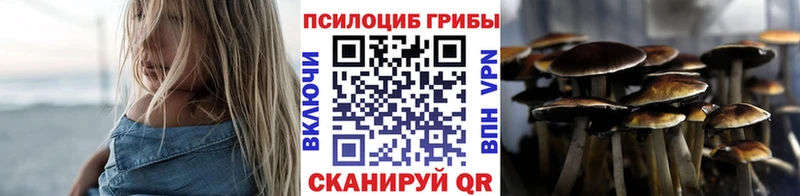 Галлюциногенные грибы Magic Shrooms  наркошоп  ссылка на мегу ссылки  Хасавюрт 